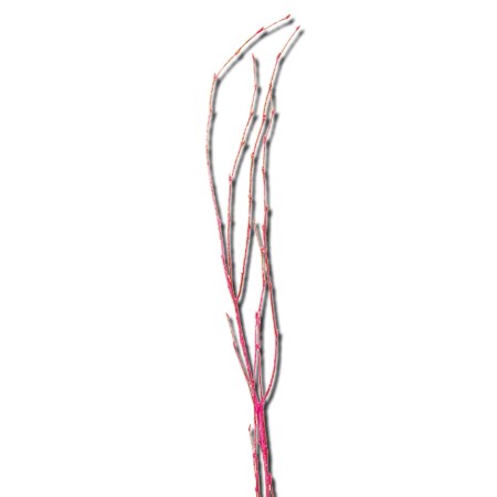 Birch Branch 55 cm 'pink' Betula pendula