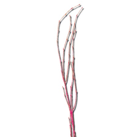 Birch Branch 55 cm 'pink' Betula pendula