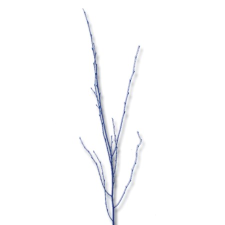 Birch Branch 55 cm 'blue' Betula pendula