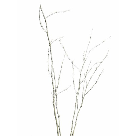 Birch Branch 55 cm 'ivory gold glitter' Betula pendula