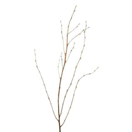 Birch Branch 55 cm 'gold gold glitter' Betula pendula