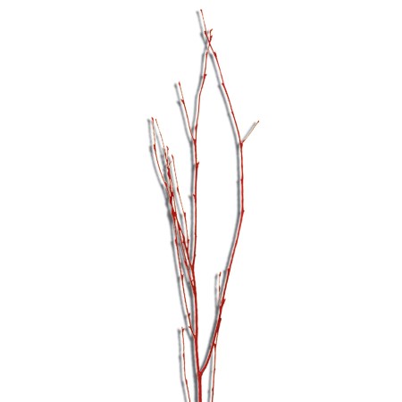 Birch Branch 55 cm 'red red glitter' Betula pendula