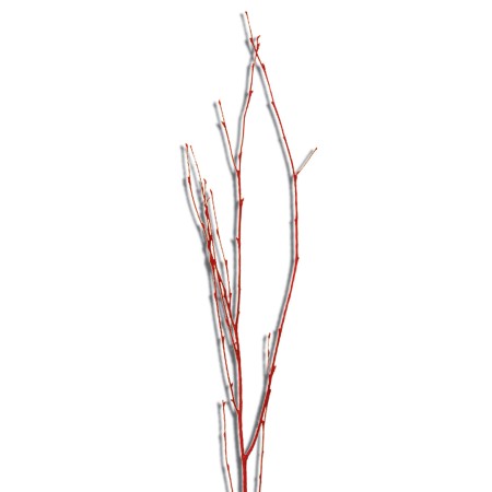 Birch Branch 55 cm 'red red glitter' Betula pendula