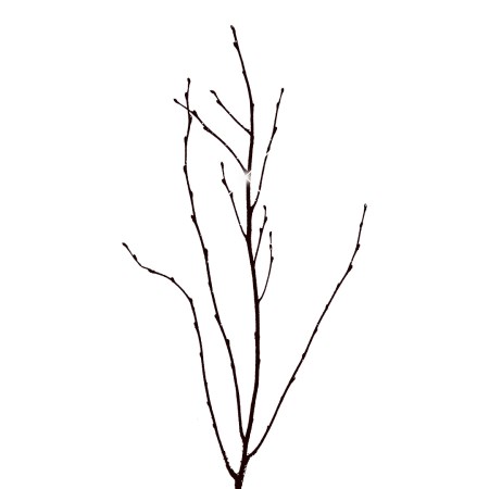 Birch Branch 55 cm 'black multi glitter' Betula pendula