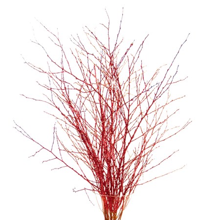 Birch Branch 70 cm 'red large glitter' Betula pendula
